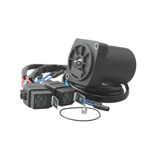 Moteur de trim d'inclinaison électrique F300 F350 pièce 6AW-43880-01-00 rechange hors-bord 2 fils