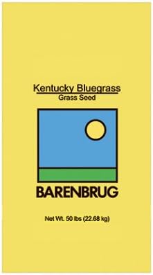 Barenbrug 491123 Kentucky Bluegrass