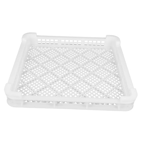 RORPOIR 1s[V[ⓀHip ړICNⓀgX`bN HiۑoX