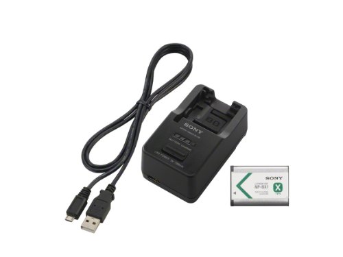 Sony ACCTRBX Battery Charger, Battery and USB Cable (Black)