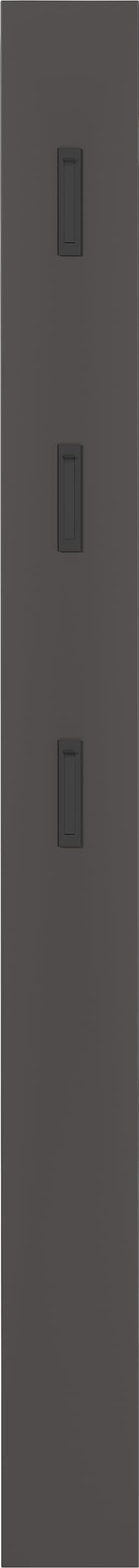 Germania Pannello appendiabiti da parete in graphite 3728-547, con 3 ganci retrattili in metallo, 15 x 170 x 3 cm (L x A x P)