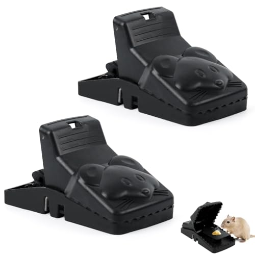 HASTHIP® 2Pcs Rat Traps House Garden Patio, Quickly Slam Rat Killer, Rats Catcher for Mice, Rats, Chipmunks, Squirrels, Hamsters