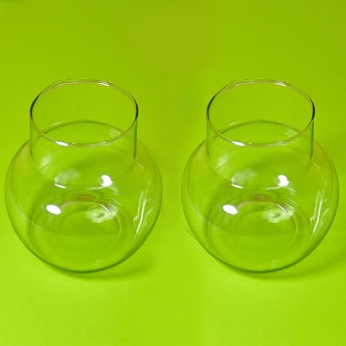 Image of Glass Vase for Bamboo Plant, Money Plant, Flower Vase, Candy Jar (Pack 2)