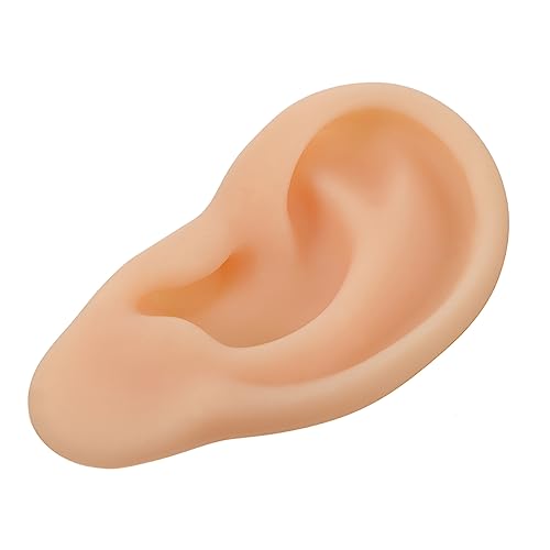 Didiseaon Professional Ear Display Model Silicone Portable Easy to Use for Consultants