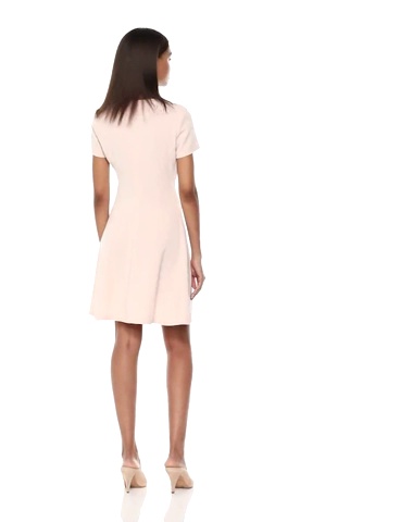 Theory Women's Short Sleeve Modern Seamed Shift Dress, Sheer Pink, 2 at  Amazon Women's Clothing store