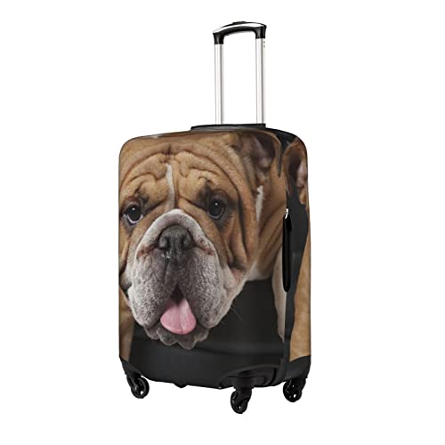 English Bulldog sitting in a Chair Travel Luggage Cover Fits 18-32 Inch Luggage, Stretch Suitcase Cover Protector with Concealed Zipper for Wheeled Suitcase Travel Accessories2