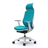 Sylphy C68CXW FSG6 [�u���[�O���[��]