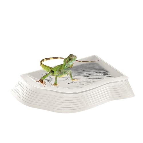 @\JpEH[^[{EAJpEH[^[fBbVA঒ޗpoX^uiX[vƓtjA|₷fUCAցAp^An[~bgNuAJp