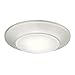 Westinghouse 6321900 Small LED Indoor/Outdoor Dimmable Surface Mount Wet Location, Brushed Nickel Finish with Frosted Lens, No Size
