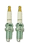 2 Pack of Genuine OEM Replacement Spark Plugs # QC12YC-2PK