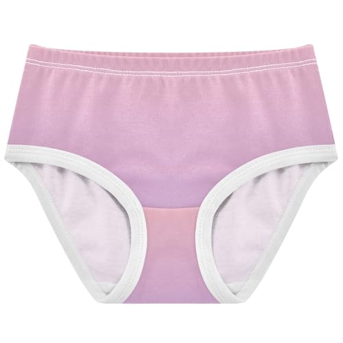Joisal Toddlers Underwear Floral 2t Cotton Girl Panties Cute Stylish Briefs Kids Undies Blush Pink Wisteria Gradient