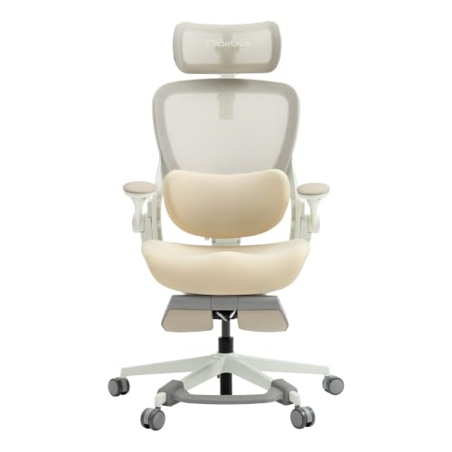 Image of S2 Pro Ergonomic Office Chair Lumbar Support, Mesh Desk Chair Home Office