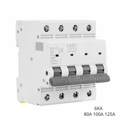 Disjoncteur 80A protégeant les circuits contre surcharge 230V