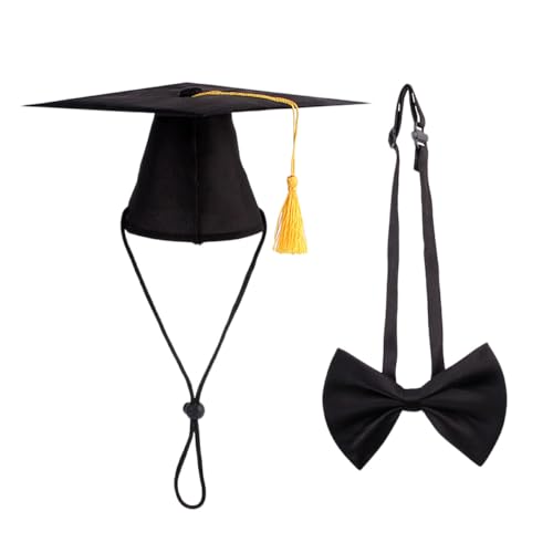 Disfraz gorro y pajarita para perro en negro