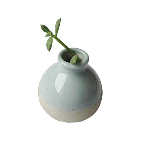 Cupcinu Handmade Vase Mini Macarons Small Ceramic Table Top Decoration Water Flower Size 5 cm x 5 cm (Light Blue) Cover