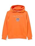  GANT Jungen Shield Hoodie Kapuzenpullover, Russet ORANGE, 176