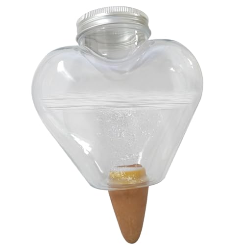 Ballons d'arrosage automatique pour plantes - Piquets d'arrosage automatique pour plantes d'intérieur et d'extérieur