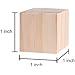 Amazon.com: Fuhaieec 100 Pcs 1 Inch Wood Square Blocks for Puzzle ...