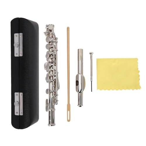 HERCHR C Key Piccolo Flute