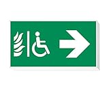 daisalux Lisu – Panel Notfall Oberfläche lisu-n rtd1350 weiß