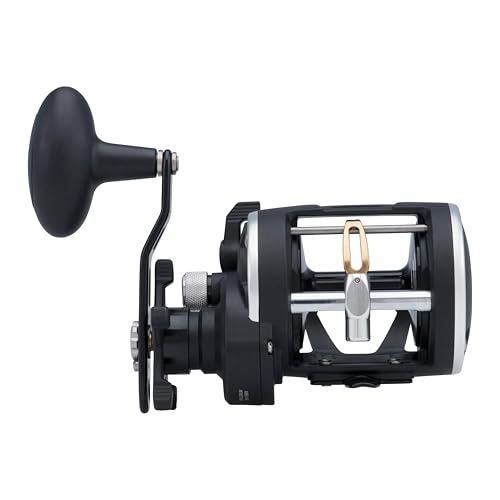 PENN Rival Level Wind Conventional Nearshore/Offshore Fishing Reel, HT-100 Star Drag, Max of 15lb | 6.8kg, Forged and Machined Aluminum Spool, 20, Multi