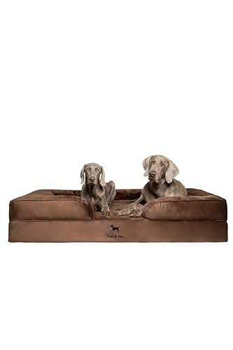 NOAH & PAW Giant Dog Bed XXL, 55x45x11 Inch, Orthopedic Dog Beds, Eggshell Memory Foam Infused with...