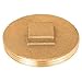 Sioux Chief Clean Out Replacement Plug Brass 3-1/2 "