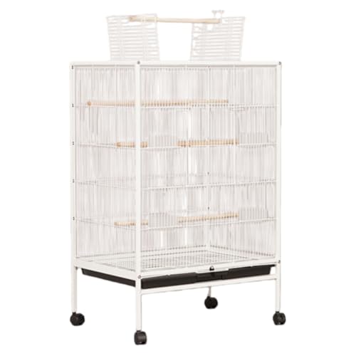 MAKETOMONEY P[W  o[hQ[W ^   LX^[t IJ CR  IE 傫 og[t ȒP uo[htB`CRIJCRp (zCg,B03L)