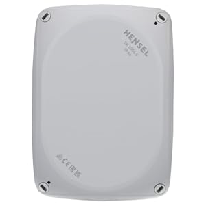 Hensel DK1006G Abzweigkasten mit Klemme IP66