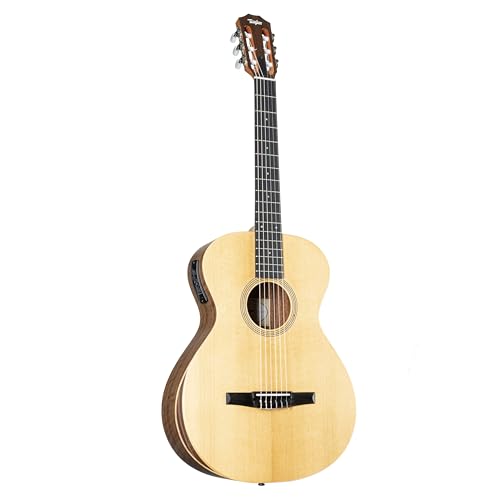 Taylor Academy 12e-N iCAR[XeBbNGLM^[-i`