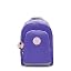 Iris Purple C