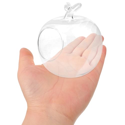 jojofuny Vase Verre Forme Pomme Transparent pour Plantes DIY Contenant Écologique Décoratif pour Maison Micro-Paysage et Terrarium Oblique Pot Original pour...