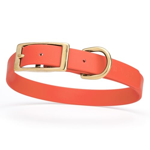Image of Viper Biothane Heavy Duty Waterproof Dog Collar Strong Coated Nylon Webbing w /Solid Brass Hardware Odor-Proof Easy to Clean High Performance Fits Small Medium or Large Dogs, Coral