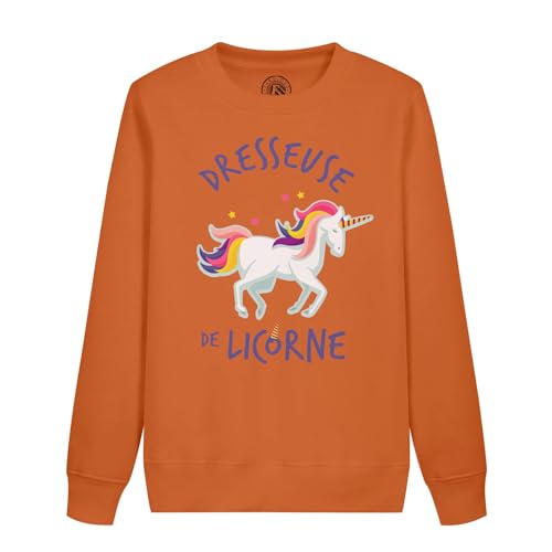Sweatshirt enfant dresseuse de licorne et cheval au style mignon et plein d'humour