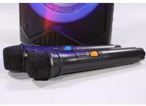 Two wireless microphones included with the speaker