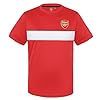 Arsenal FC Official Gift Mens Poly T-Shirt Red White Stripe 3XL #1