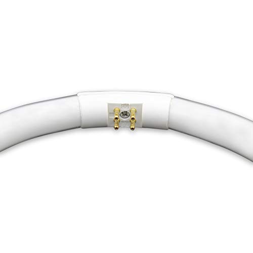 22W T5 Circular Fluorescent Bulb Replacement For Floxite T5 22W Circular Mirror Light Bulb By Technical Precision - 4-Pin Connector Base Circline Fluorescent Bulb - 6500K - 7.25 Inch Outside Diameter #TOP3