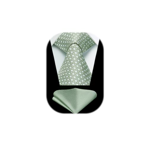 HISDERN Sage Green Ties for Men Wedding Tie & Pocket Square Set Formal Business Necktie Handkerchief Party Neckties