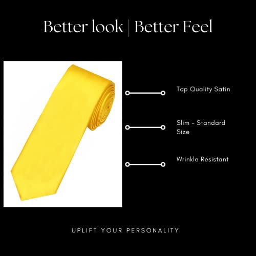 Image of TIE STUDIO Mens Formal Neckties| Standard Size | Premium fabric | Superior finishing| Packaging - Folder | Set of 1