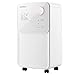 COSTWAY Deumidificatore Casa 15 L 15 m2, con 4 Modalità, 2 Velocità, Timer 24 Ore, Scarico Automatico o Manuale, Serbatoio dell’Acqua 2 L, Auto Sbrinamento, Pannello Digitale a 3 Colori