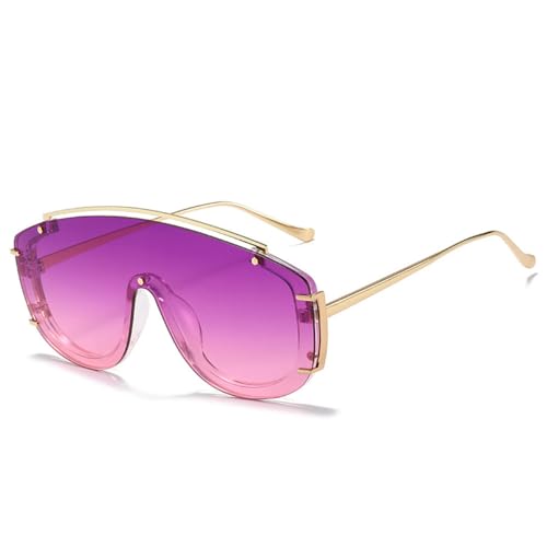 Lunettes de soleil vintage pour réduire l'éblouissement avec de grands verres