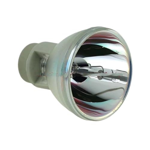 Ampoule Rlc 079 compatible avec vidéoprojecteur Viewsonic Pjd7820hd