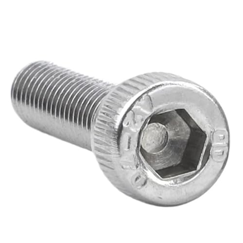 Fitaulip Tornillos de Cabeza Hueca Hexagonal de Acero Inoxidable, 3-55 Unidades, M1.6, M2, M2.5, M3, M4, M5, M6 y M8(6mm,M4 20pcs)