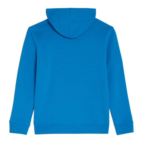 Image of Champion boys Graphic Hoodie Pullover Sweatshirt for Kids With Stylish Embellishments