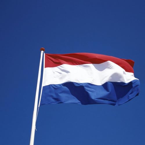 What can we expect in economic terms from the new Dutch government?