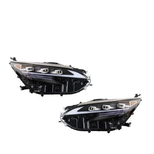 FTJ[Cg g^ VGi wbhCg 2021-2023 LEDvWFN^[wbhv fC^CjOCg ԃANZT[