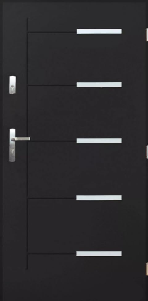 Porta in acciaio, resistente alle intemperie, elegante porta d'ingresso sicura, modello Kankan, spessore 55 mm, dimensioni 80/90 cm con rivestimento nano (antracite, 90: dimensioni dell'albero della