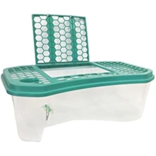 TAYOA カメ用水槽 大きい カメ 水槽 亀の水槽 60CM 74CM 亀 飼育ケース ボックス タートルタンク 日向ぼっこ台 ミドリガメ クサガメ スッポン 観察 排水孔 階段 エサ皿 (60CM,とうめいしょく)