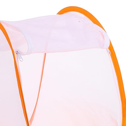Maison pliable élevage papillons pour observer la biodiversité