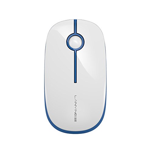 Souris sans fil ZORNTWEE W660 | 2.4G | Fashion Mouse
